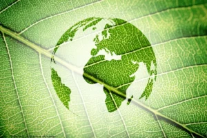 Ökologische Globalisierung